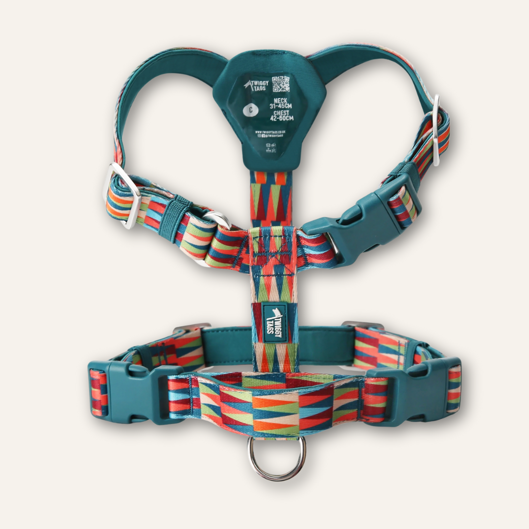 Horizon Harness
