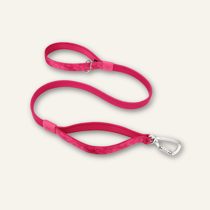 Bungee Lead