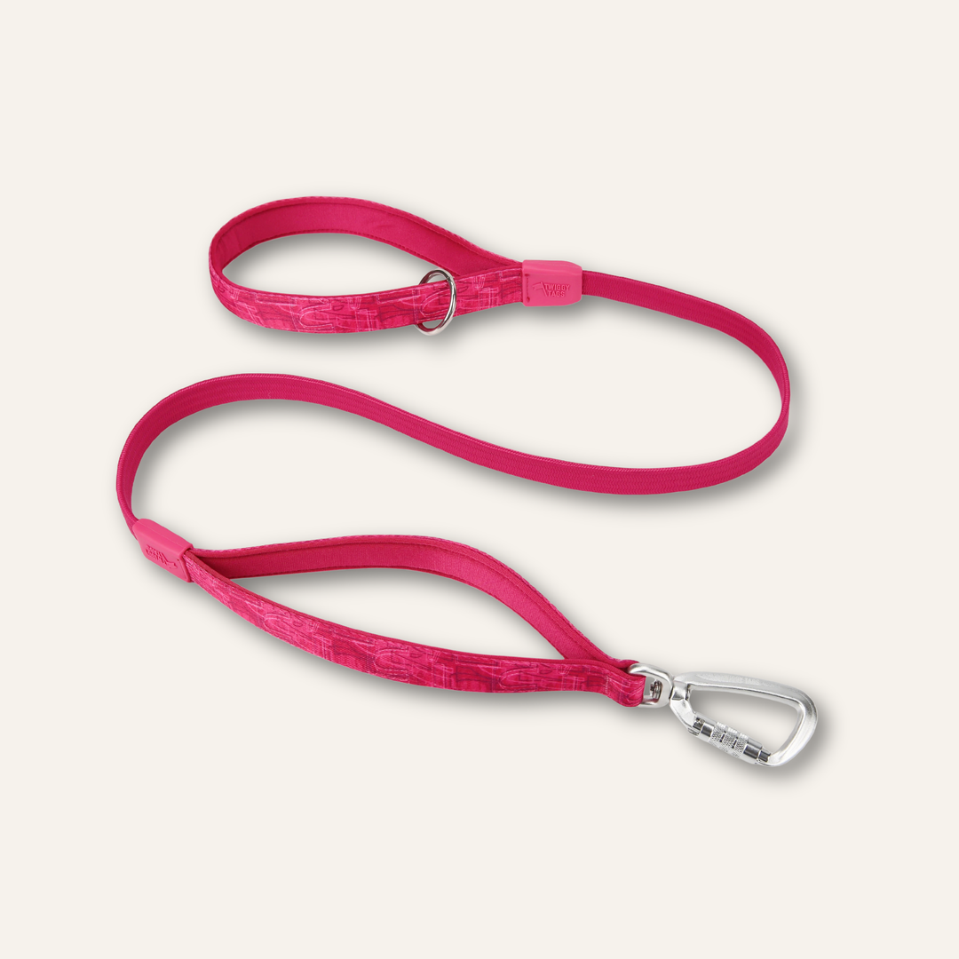Bungee Lead