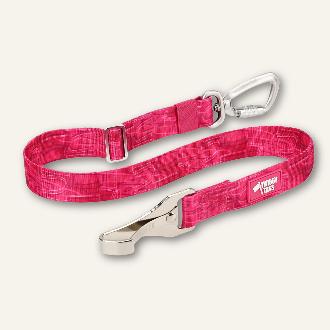 ISOFIX Seat Belt