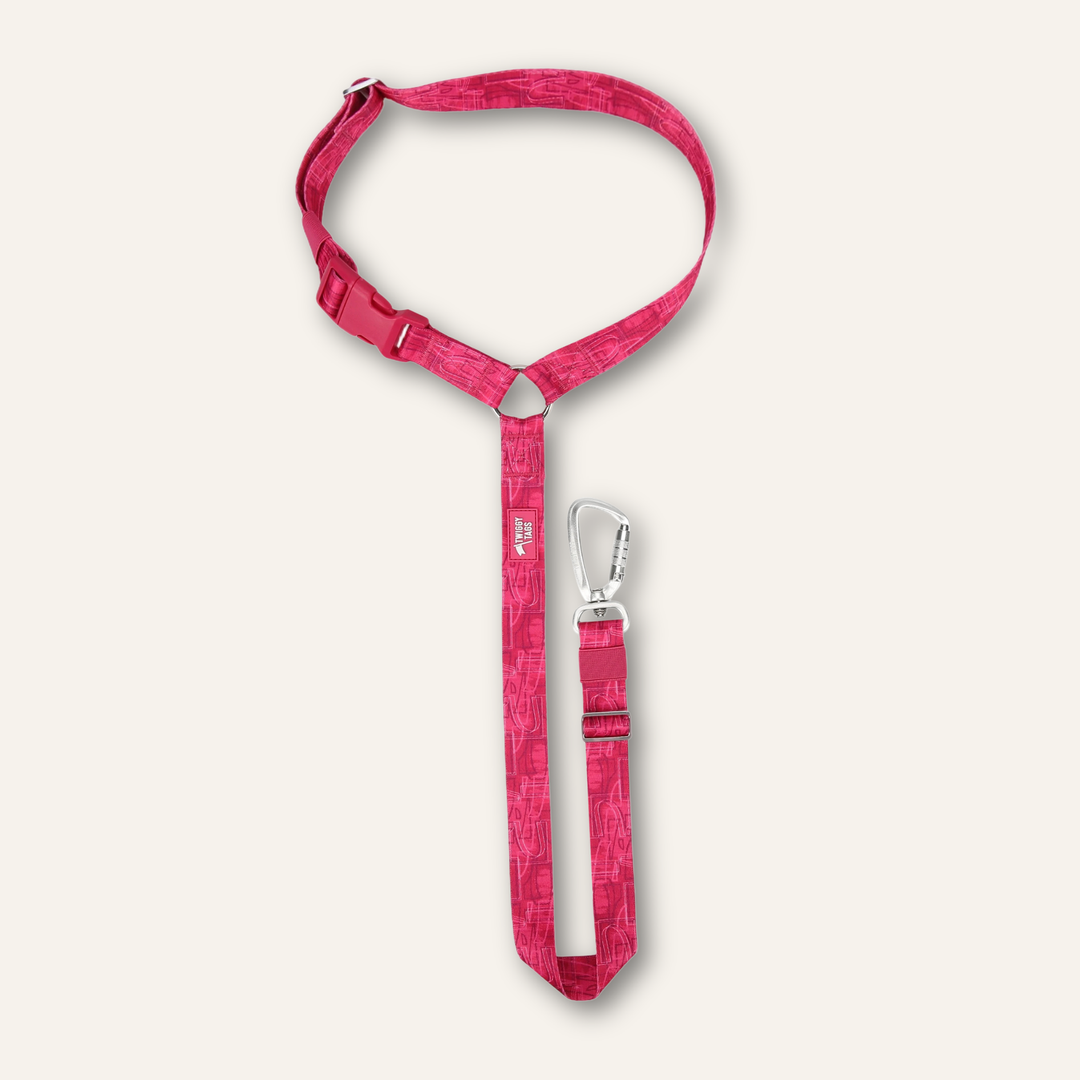 Headrest Seat Belt