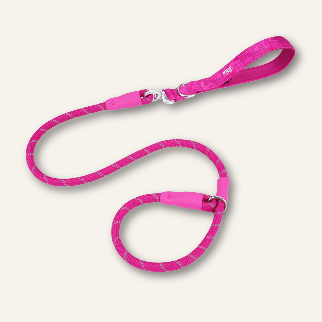 Slip Lead