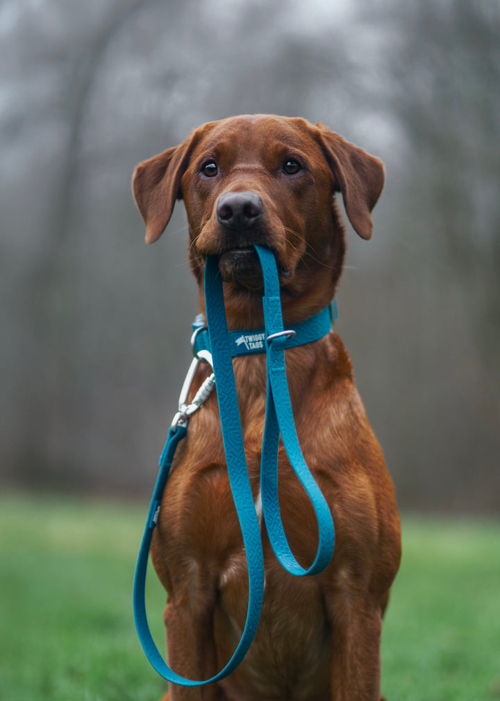 Tidal Waterproof Lead