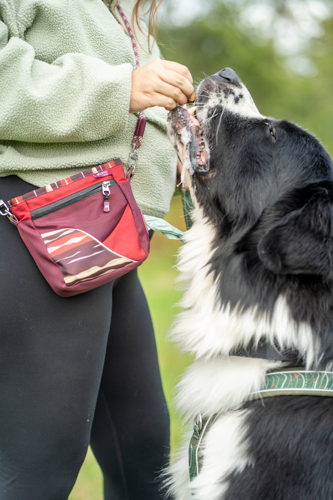 Crosslander™ Treat Pouch