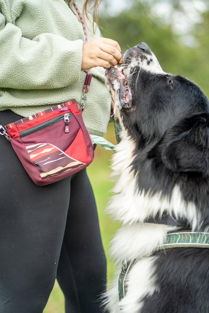 Crosslander™ Treat Pouch