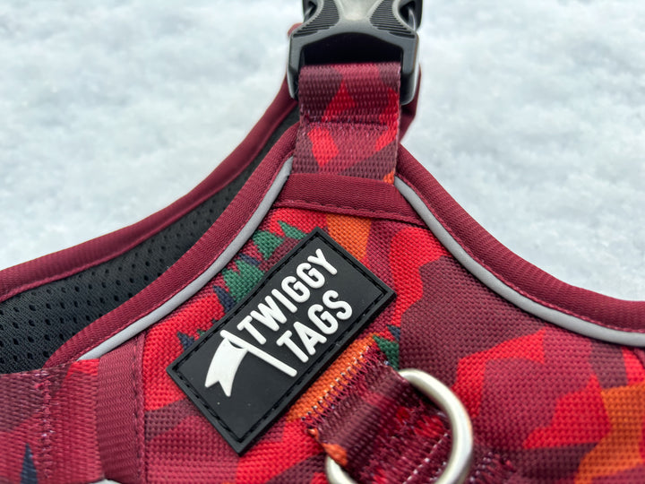 Adventure Harness - Alpenglow