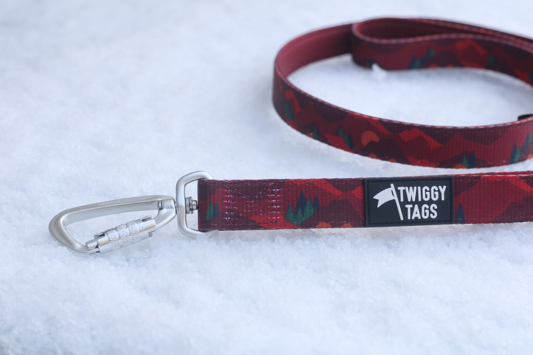 Adventure Close Control Lead - Alpenglow