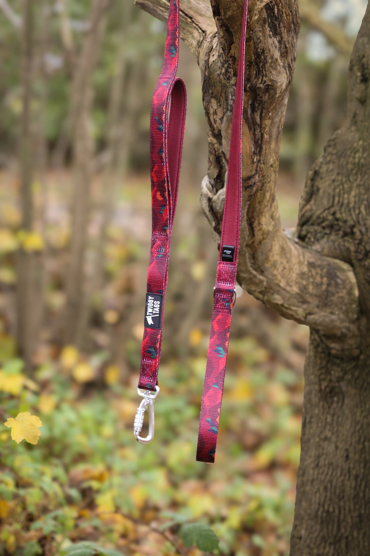 Adventure Close Control Lead - Alpenglow