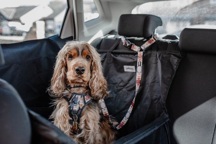 Adventure Dog Safety Seatbelt - Wanderlust (Limited Edition)