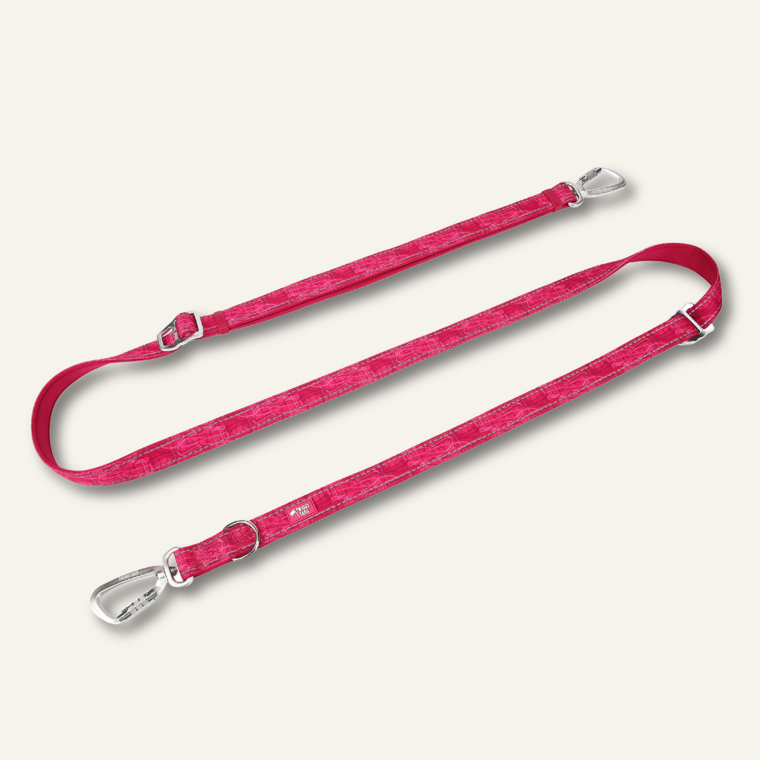 Multi-Way Lead