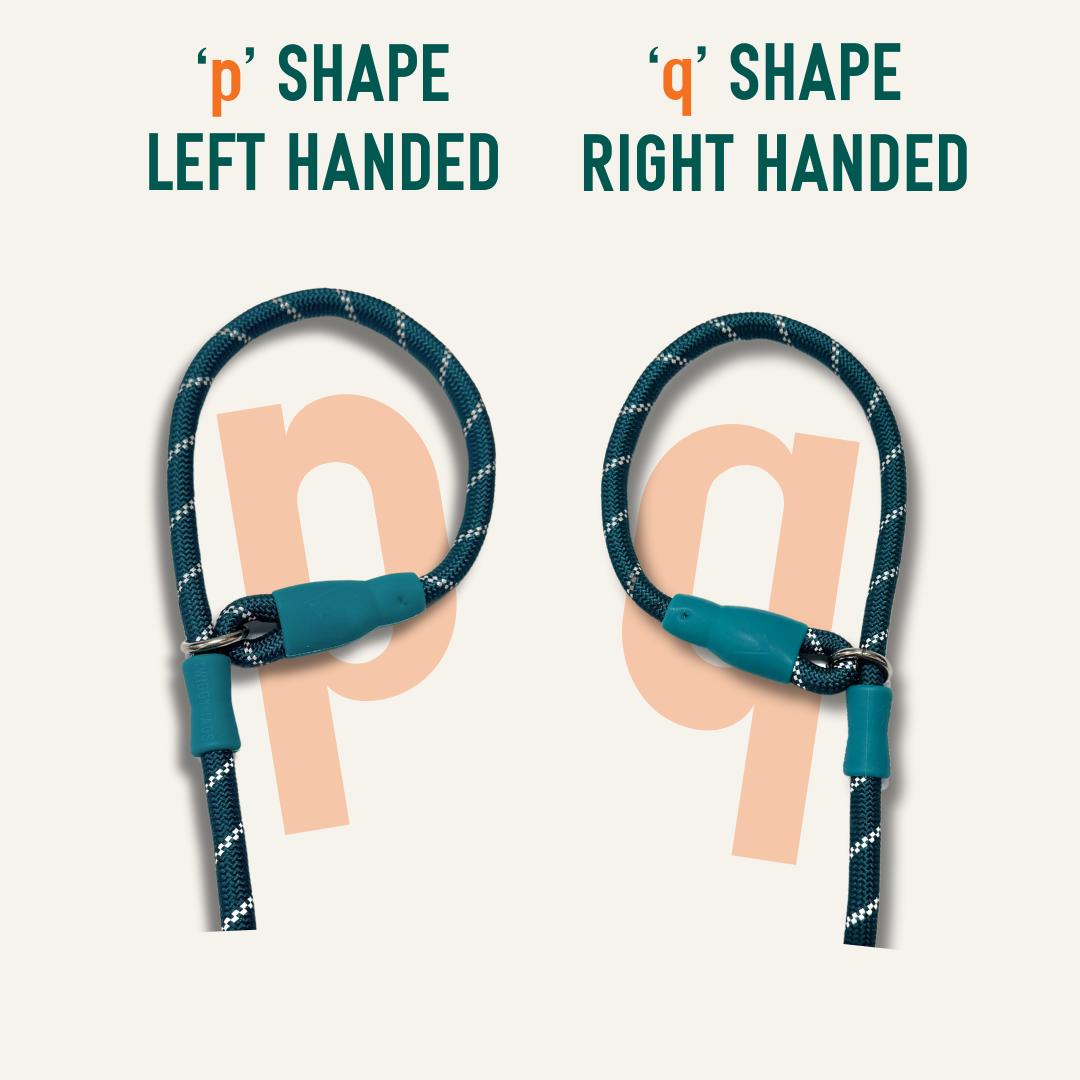 Slip Lead – Twiggy Tags - Main Image