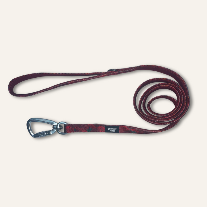Adventure Small Lead - Alpenglow