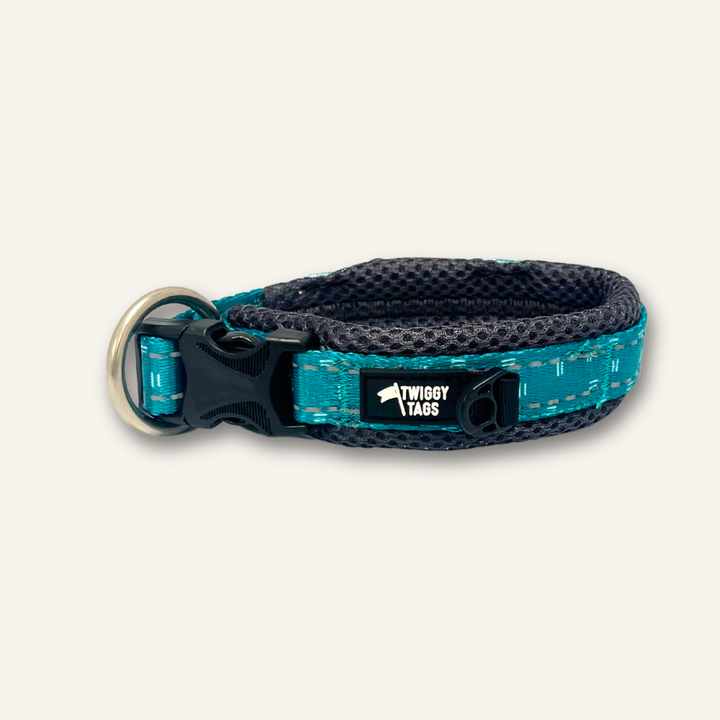 Adventure Collar (Limited Edition)