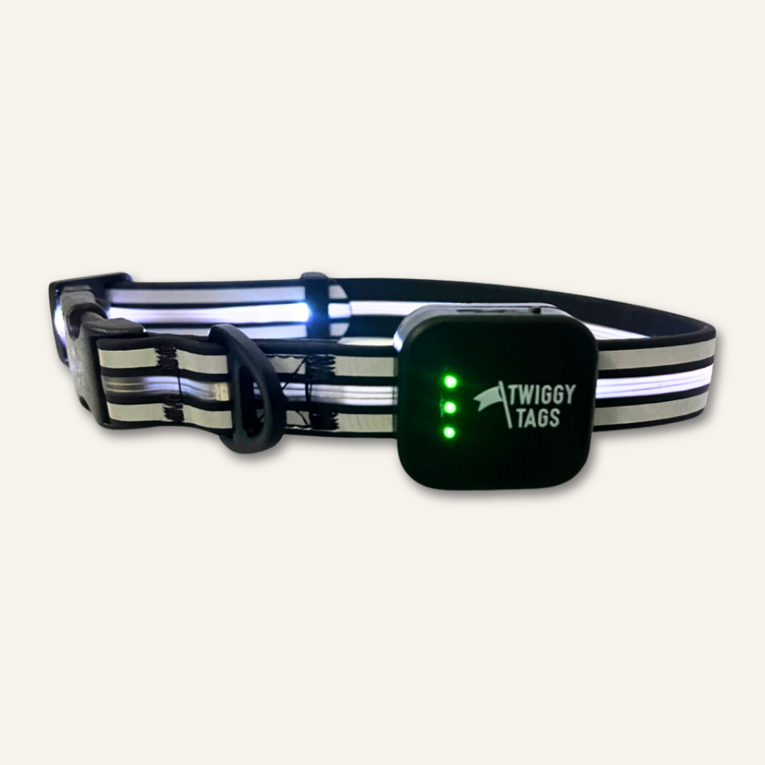 TrekBright™ Light-Up Collar