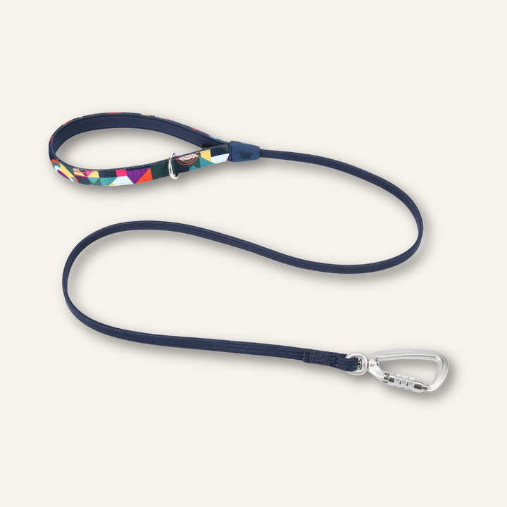 Bungee Lead