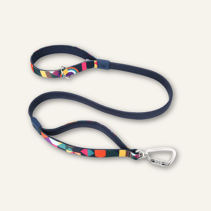 Bungee Lead