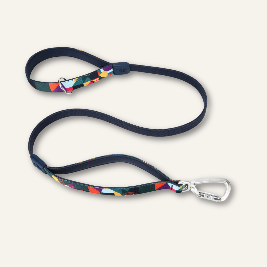 Bungee Lead
