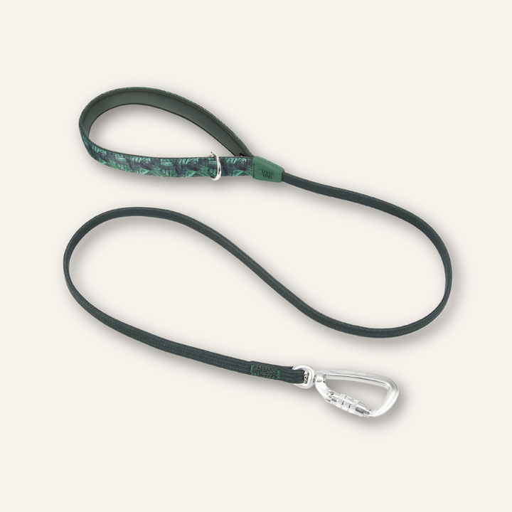 Bungee Lead