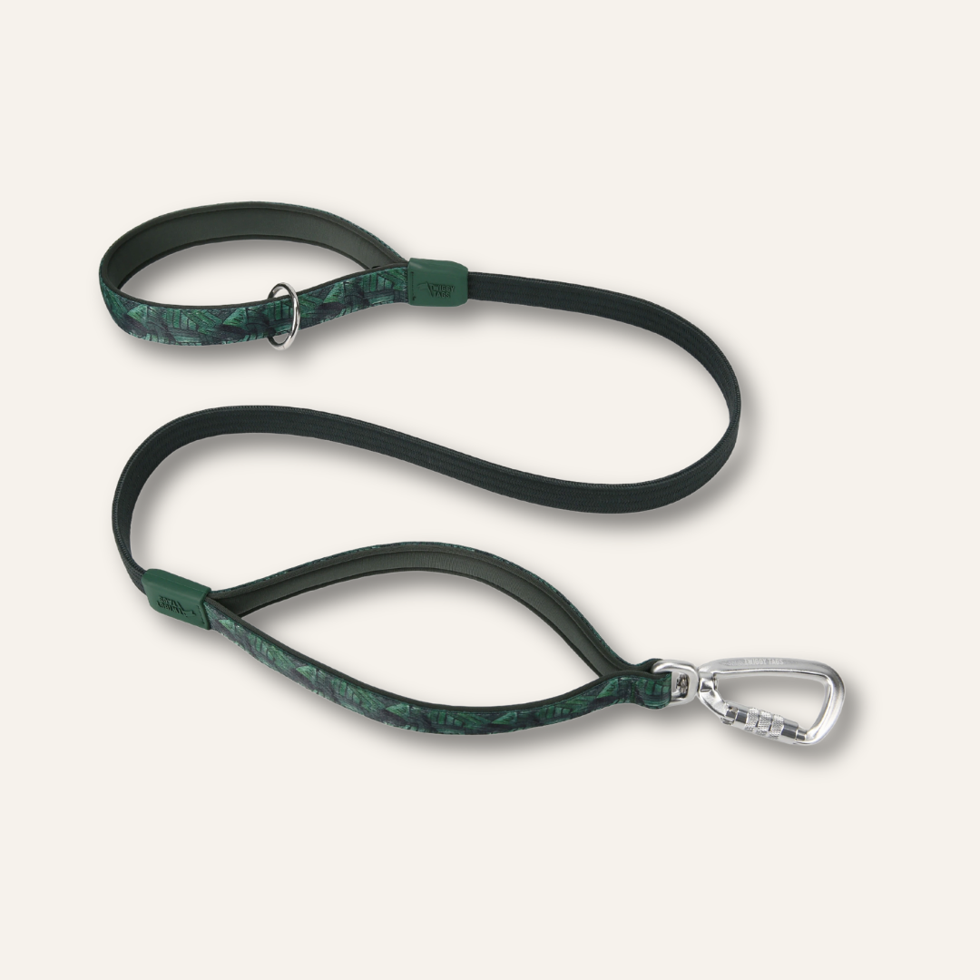 Bungee Lead