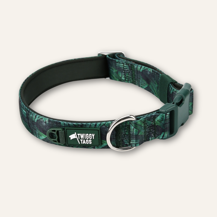 Comfort Collar