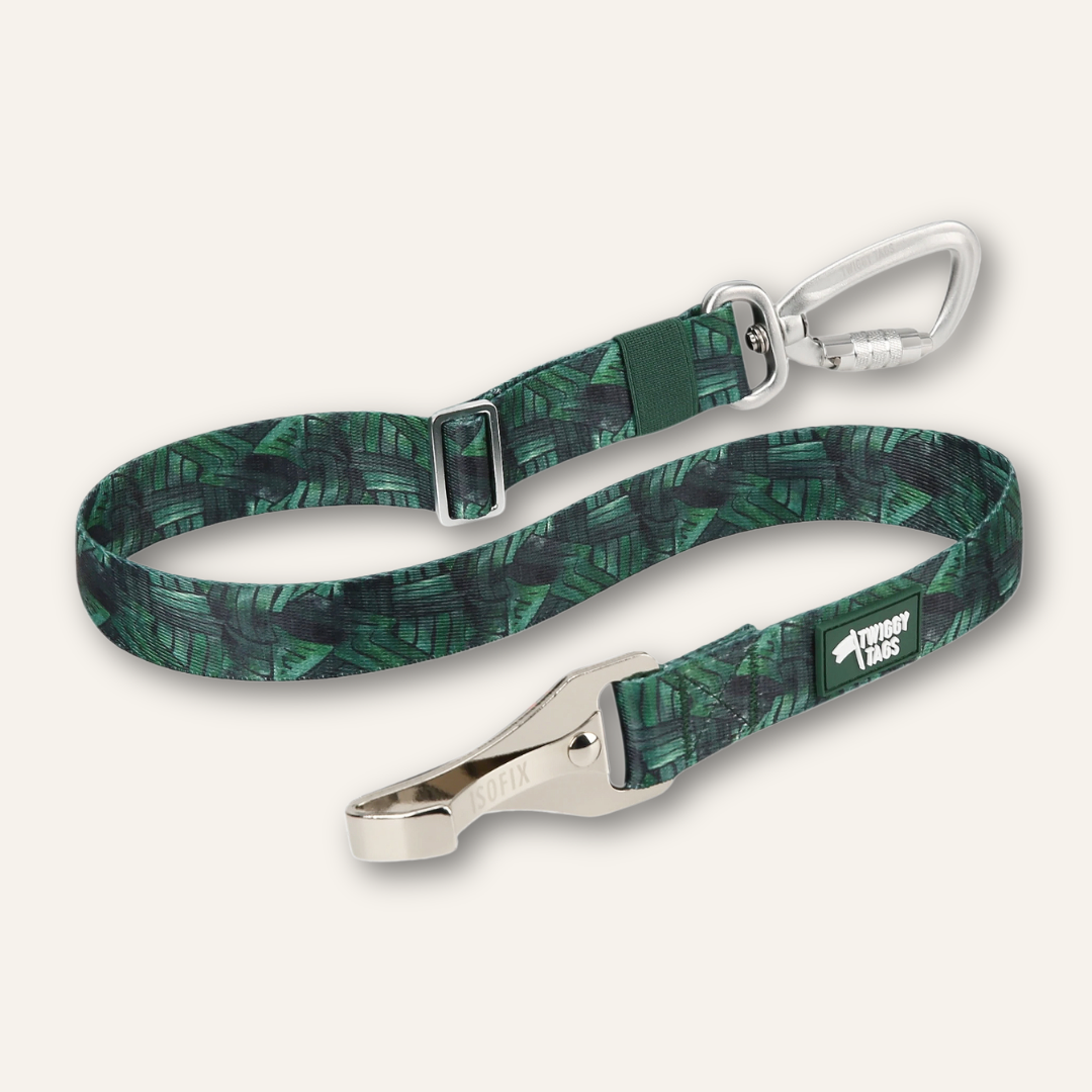 ISOFIX Seat Belt