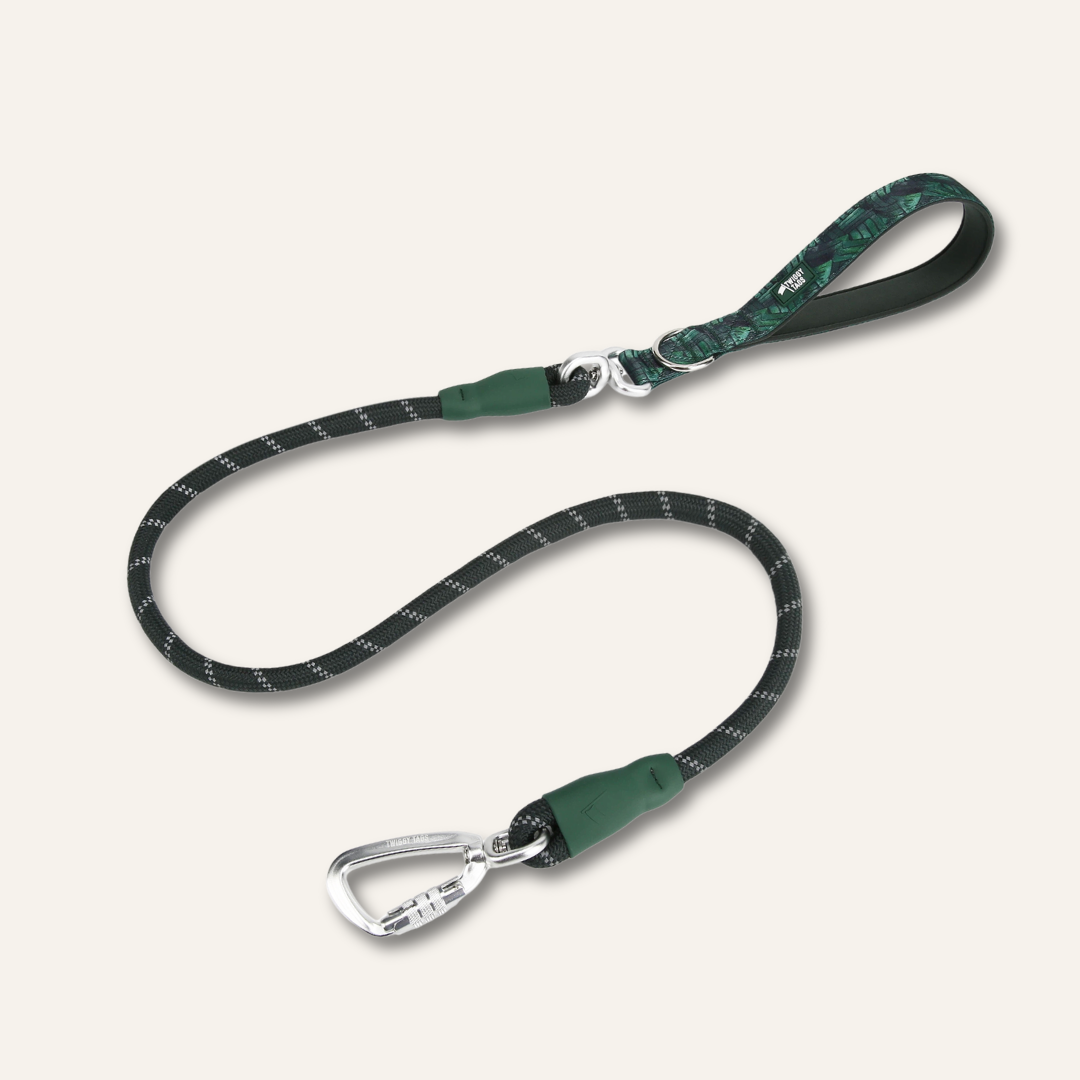 Rope Lead