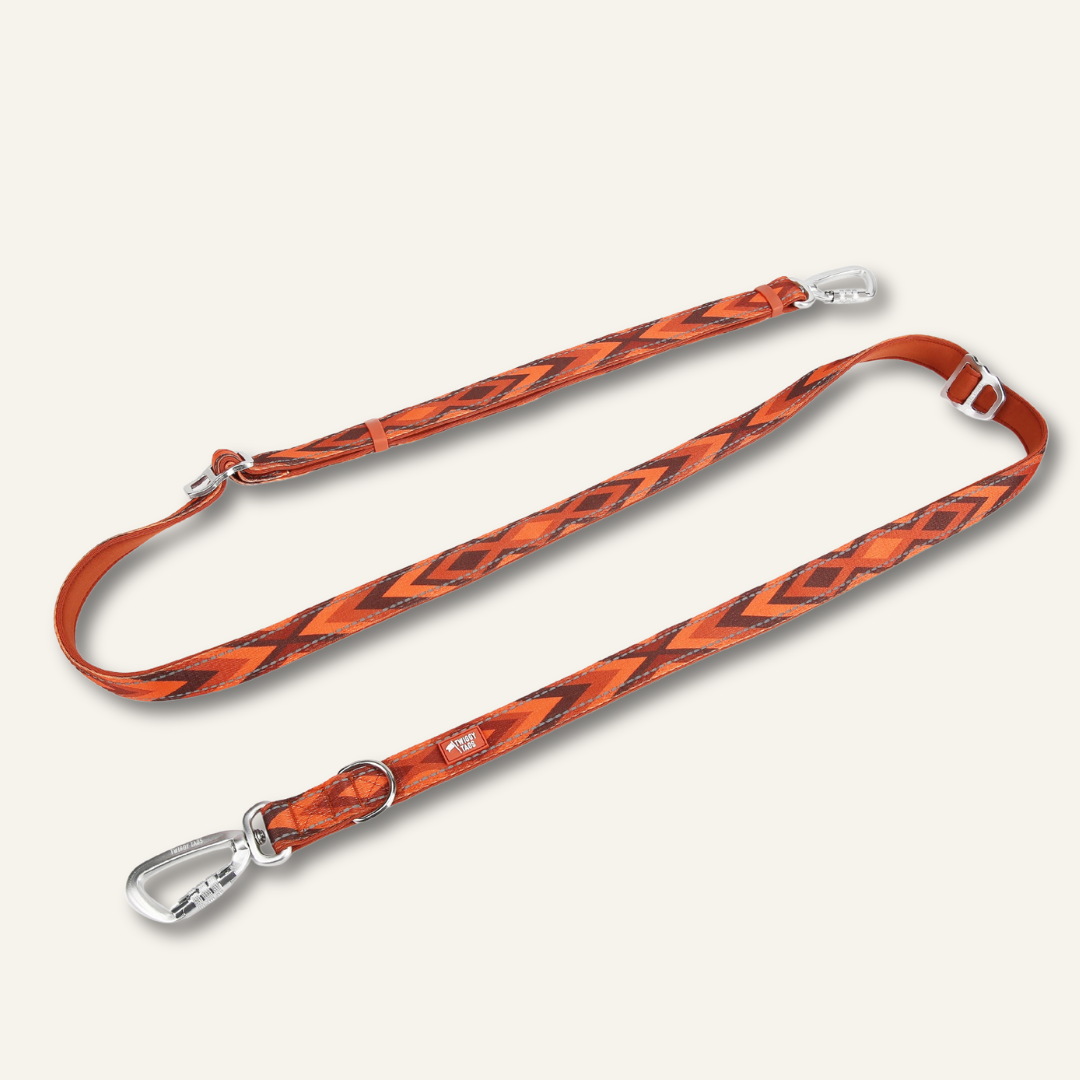 Multi-Way Lead