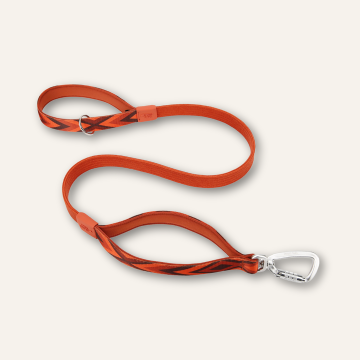 Bungee Lead