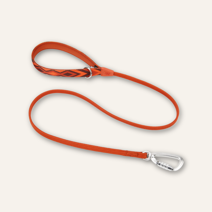 Bungee Lead