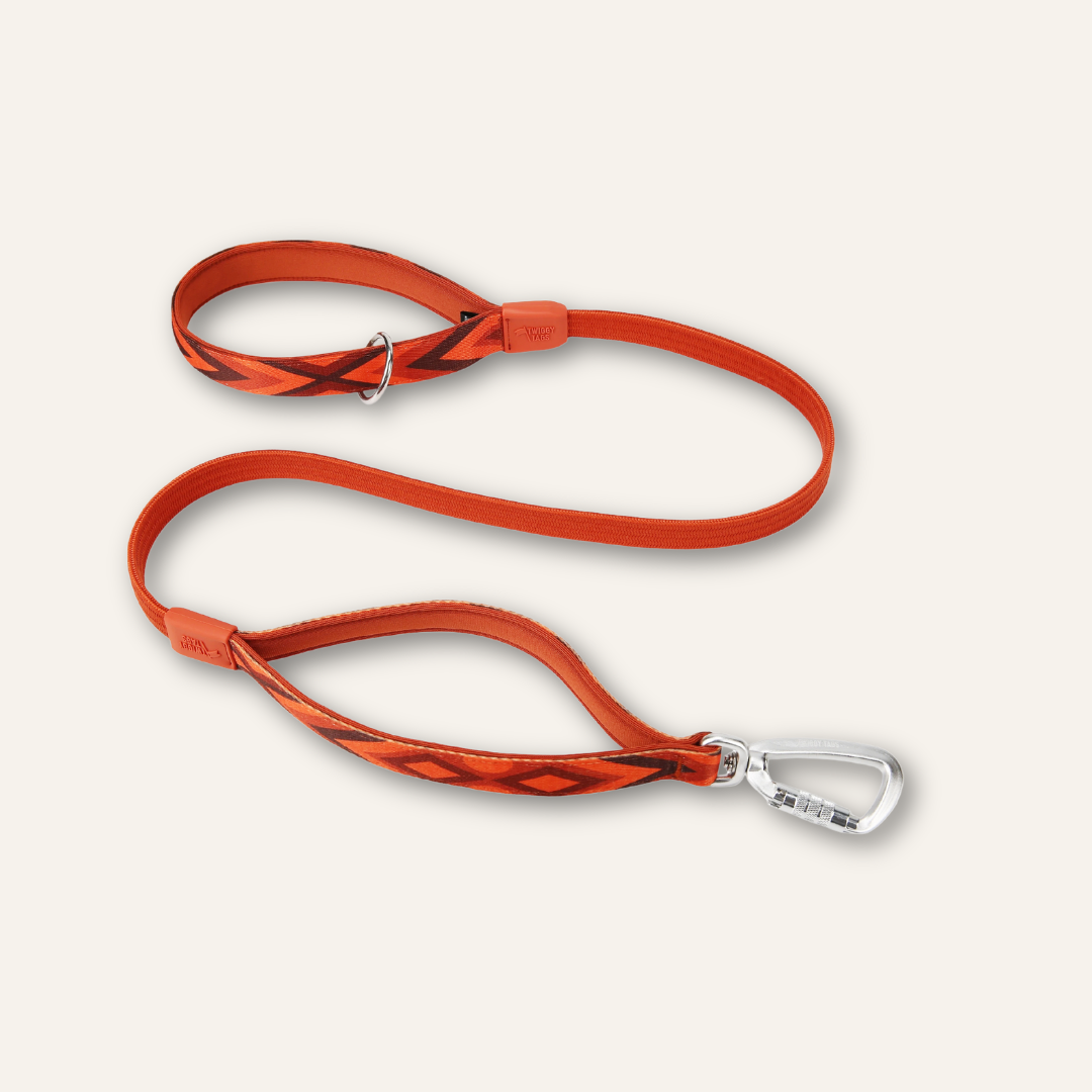 Bungee Lead