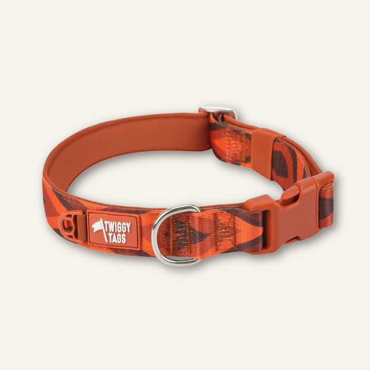 Comfort Collar