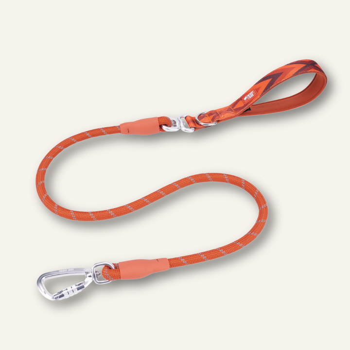 Rope Lead