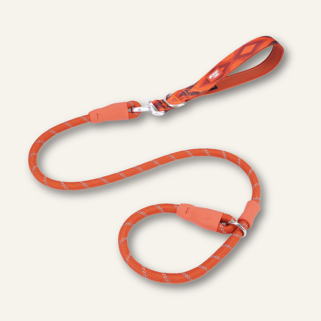 Slip Lead