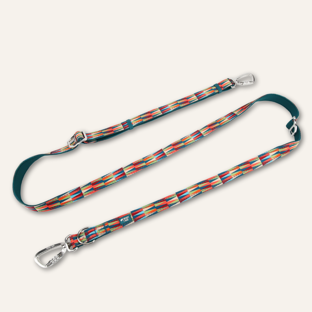 Multi-Way Lead