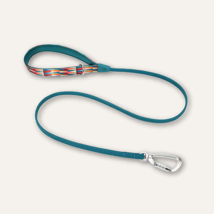 Bungee Lead