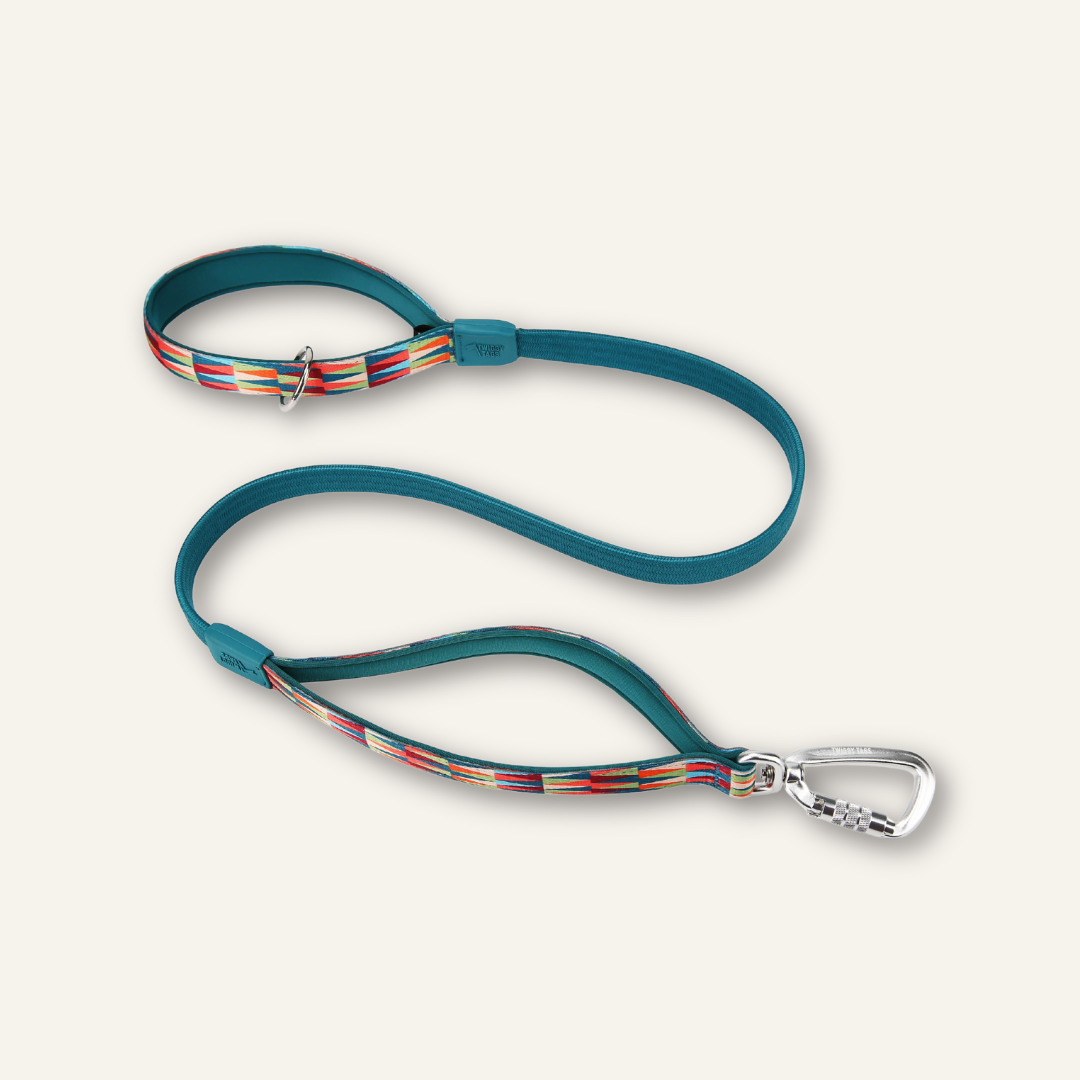 Bungee Lead