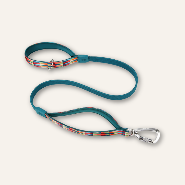 Bungee Lead