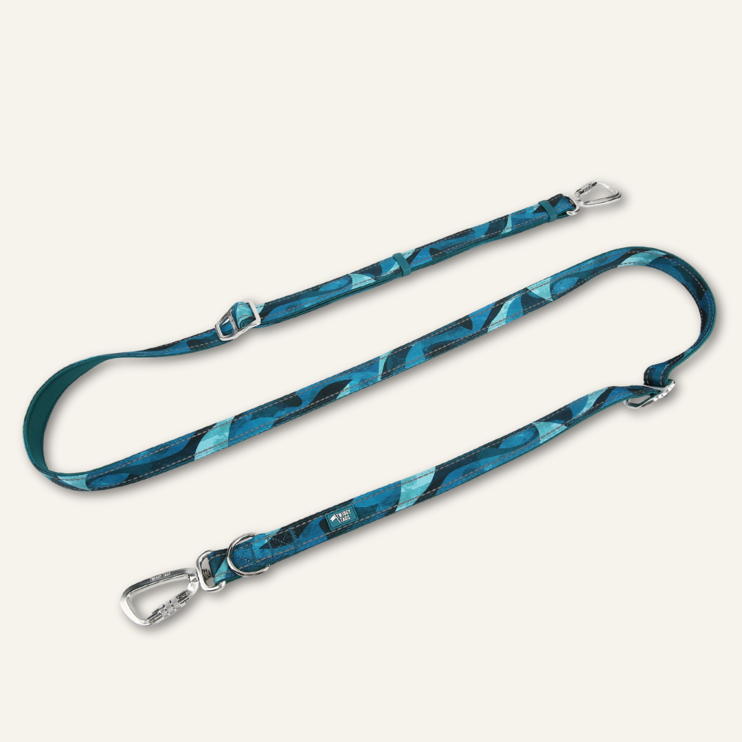 Multi-Way Lead