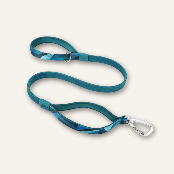 Bungee Lead