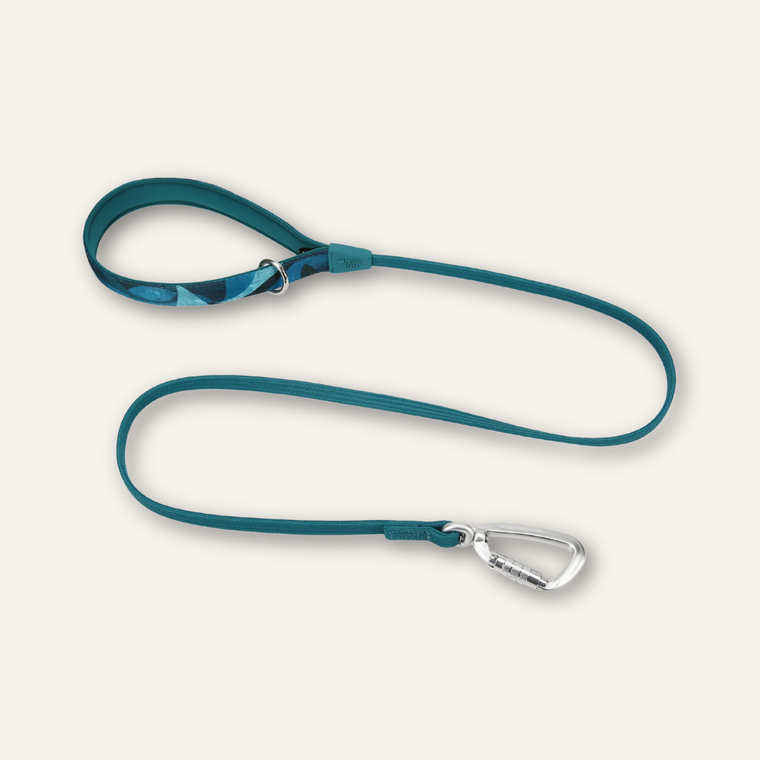 Bungee Lead