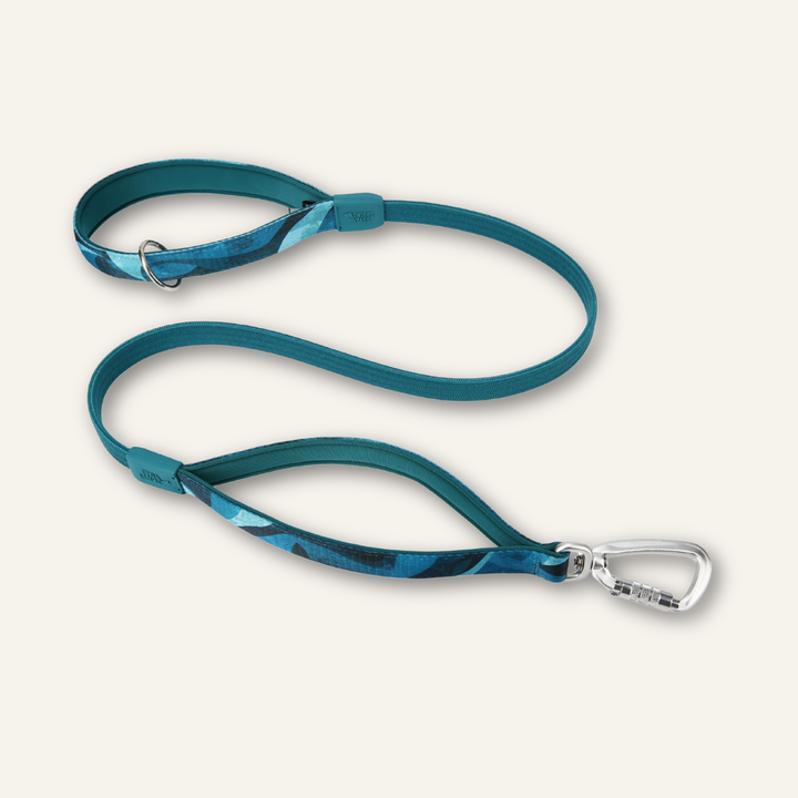 Bungee Lead