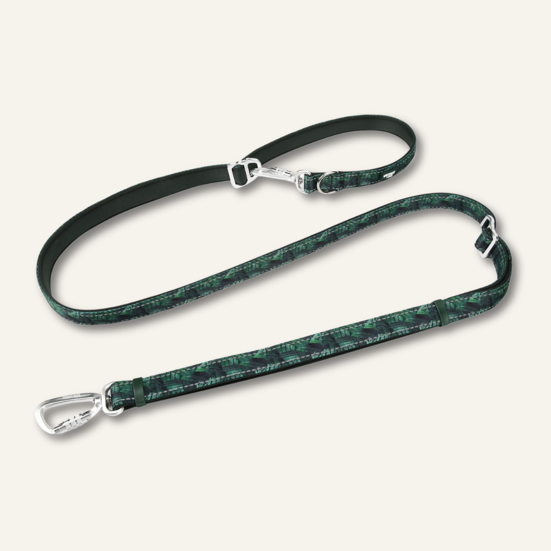 Multi-Way Lead