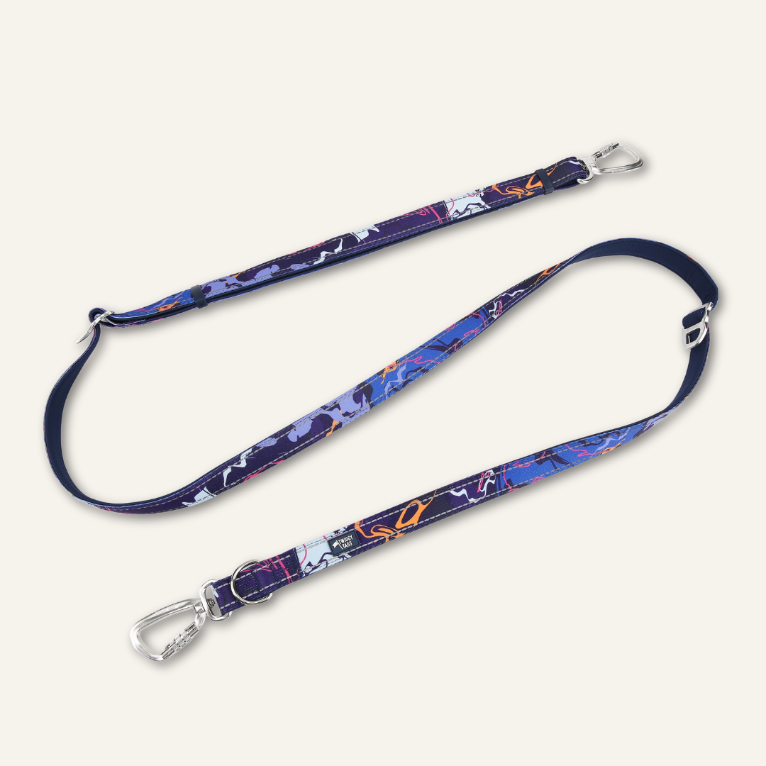 Multi-Way Lead