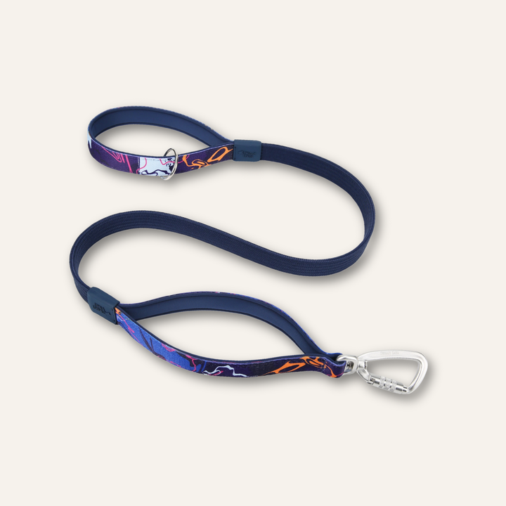 Bungee Lead