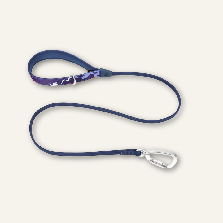Bungee Lead