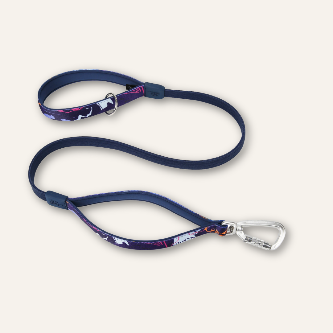 Bungee Lead