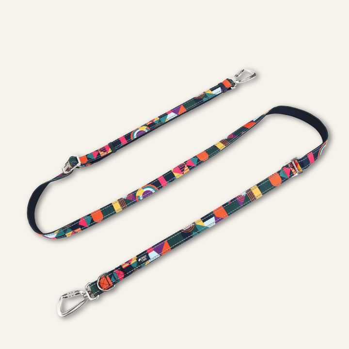 Multi-Way Lead