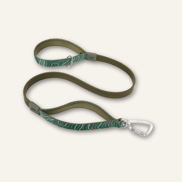 Bungee Lead