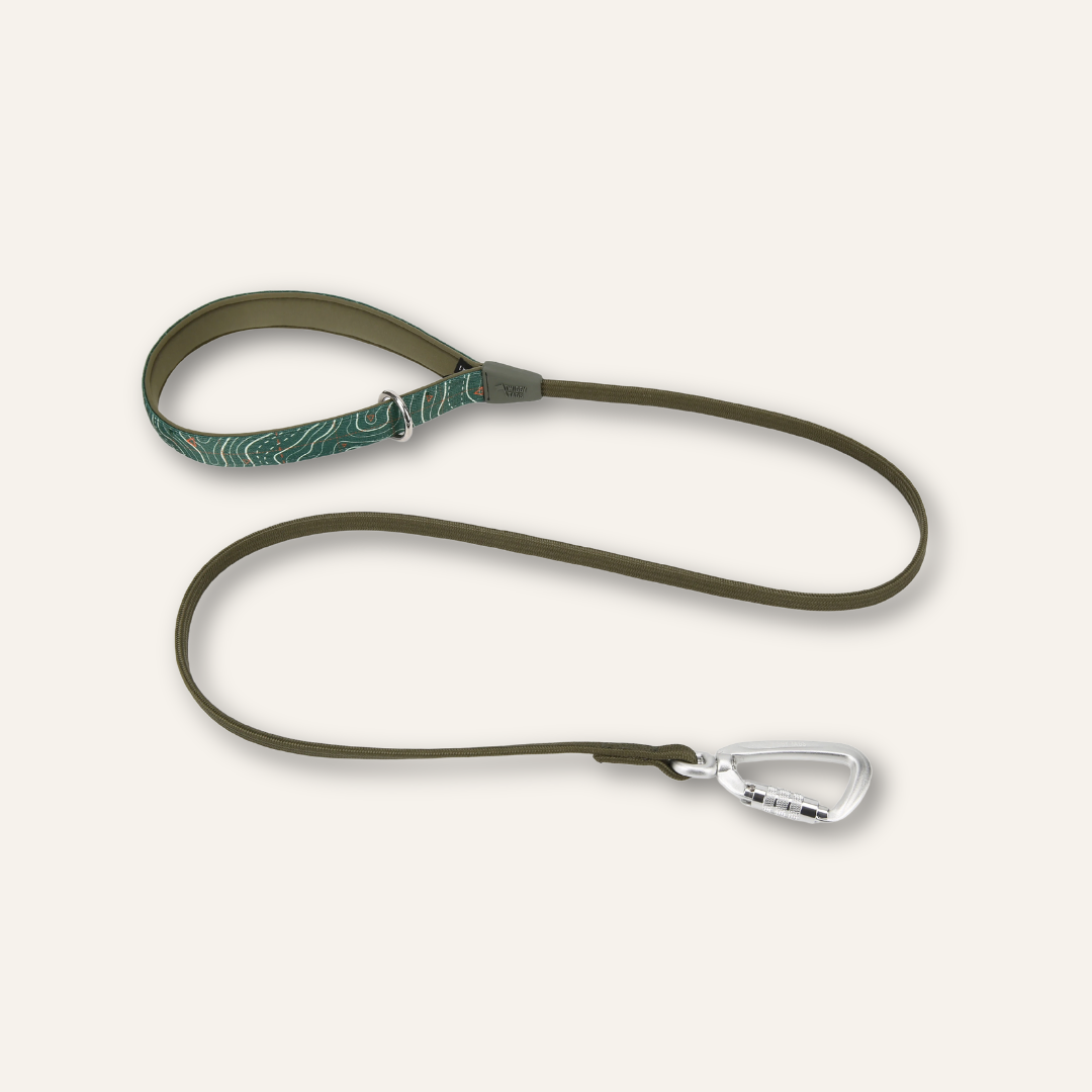 Bungee Lead