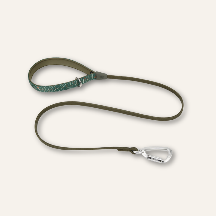 Bungee Lead